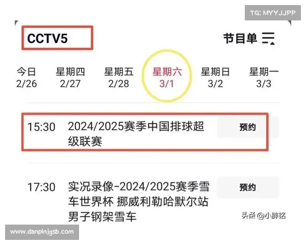 排球赛事、排球赛事直播在线观看