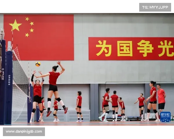 今年的女排在哪举行