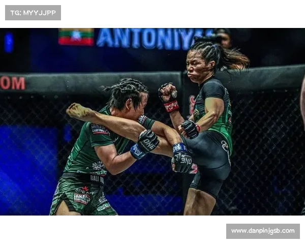 国际mma赛事有哪些(世界顶级mma赛事)